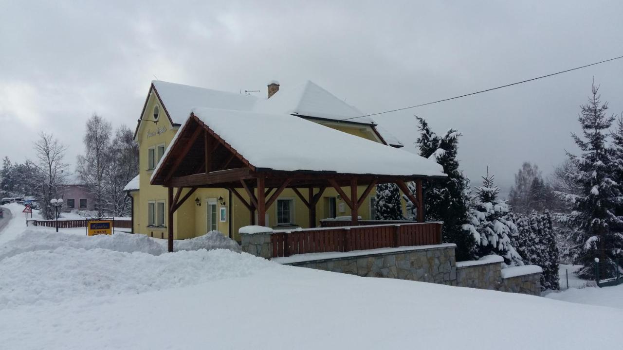 Penzion Rozalie Horní Planá Extérieur photo